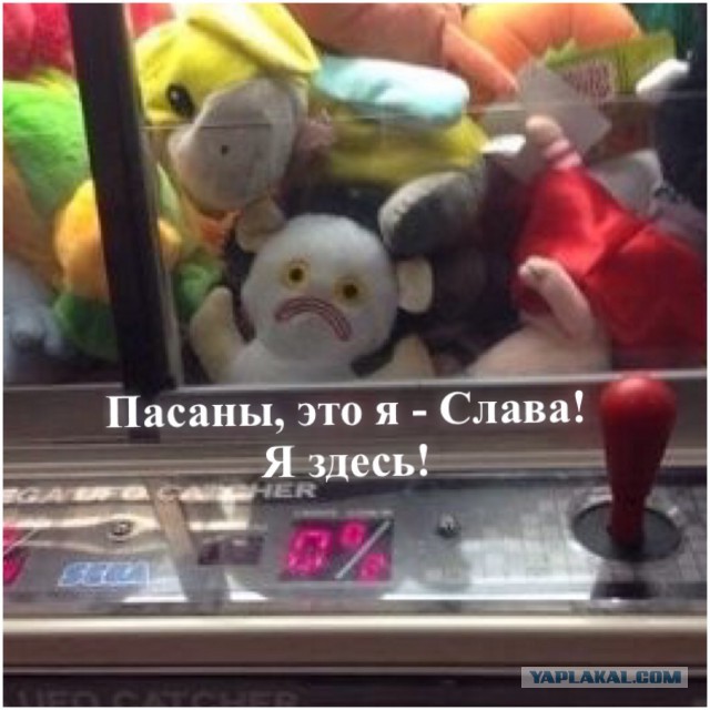 У меня грустные новости для соЯПовца. Слава Новиков тут есть?
