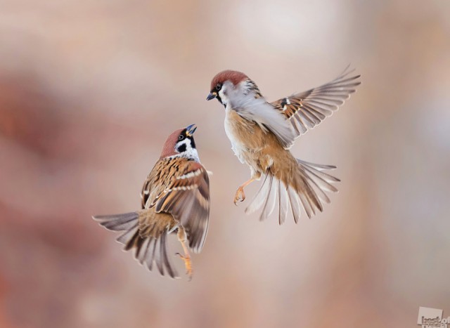 Фотографии победителей премии Best of Russia — 2015