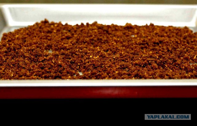 Психокулинария. День открытых дверей.