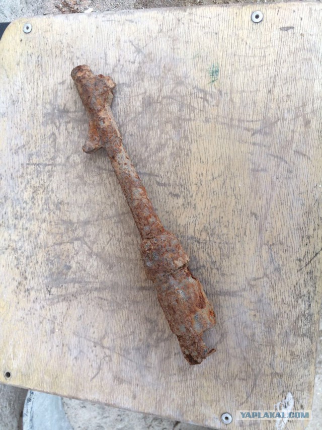 Крякнет ли серый гусь?