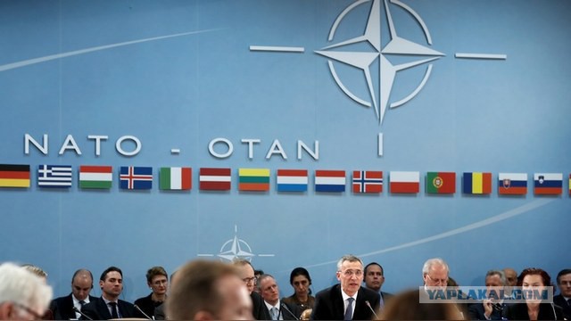 Vox: И без танков у Запада хватит сил поставить Россию на место