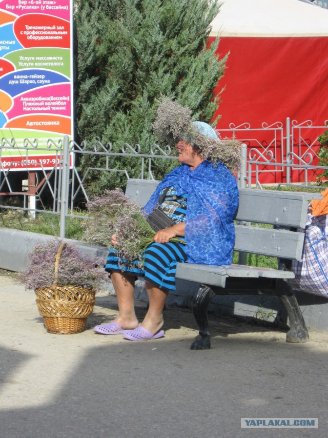 Уже на всех пляжах черноморского побережья