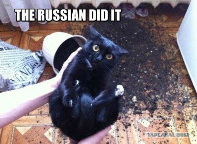 Это сделали русские: в Сети появился новый мем