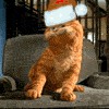 Яповцы, оновогоживайтесь!