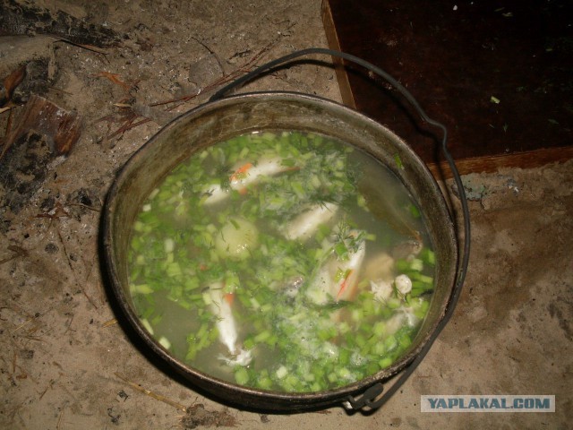 Почему мужики все чаще выкладывают свой кулинаризм в соцсети