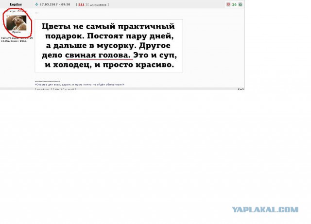 Смешные комментарии из социальных сетей 17.03.2017