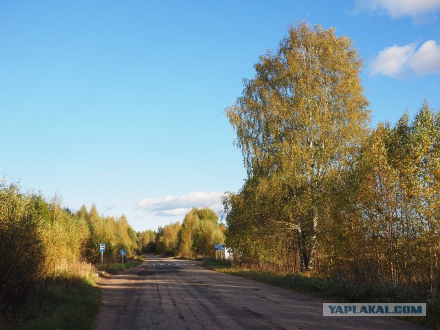 Деревня Девкино. Боровичский район Новгородской области. Фотоподборка.