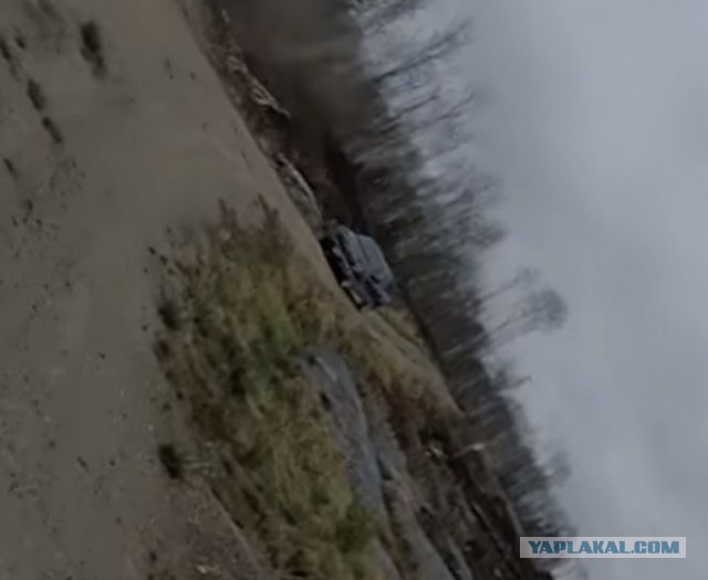 Лучник и медведь
