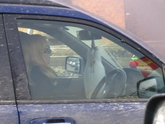 А кто же за рулем?