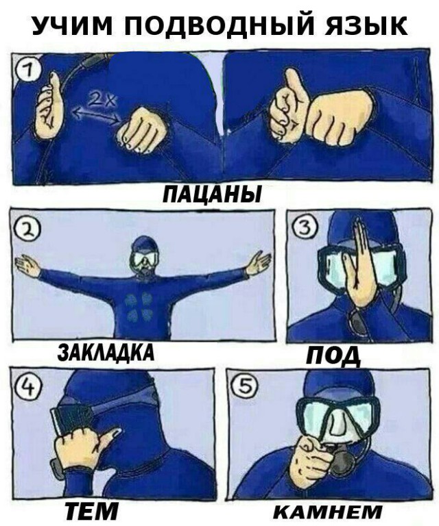 Немного веселых картинок для пятничного настроения