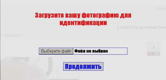 Итоги проверки пользователей