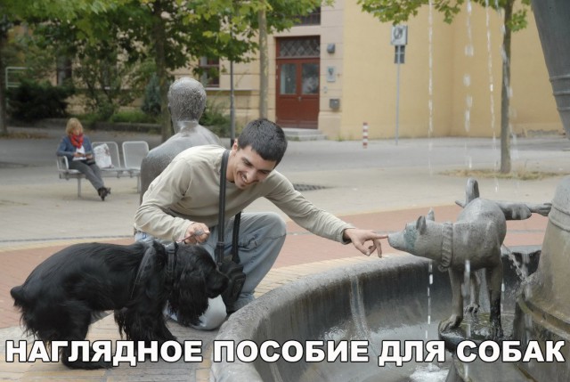 Нестандартный юмор