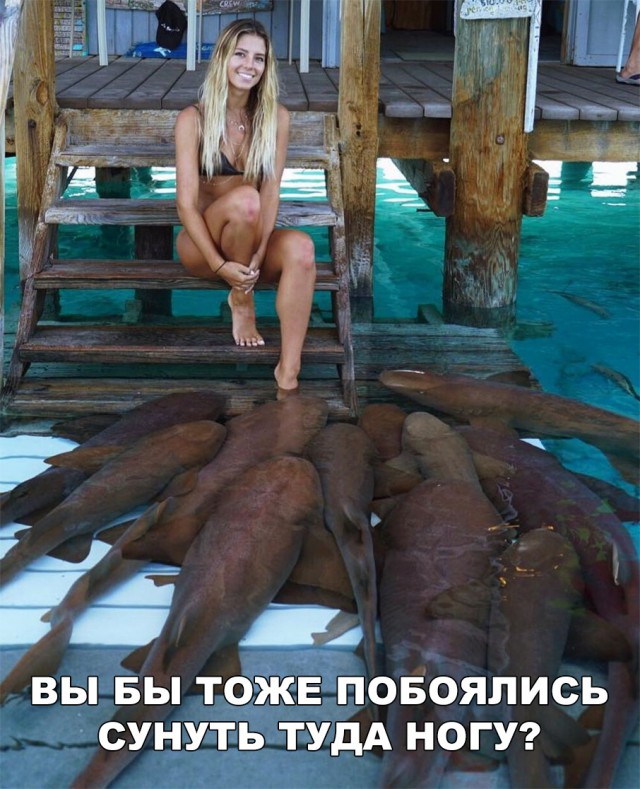 Нестандартный юмор