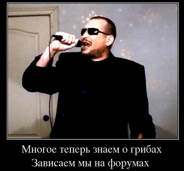 Пашкет, демотиваторы и мемы