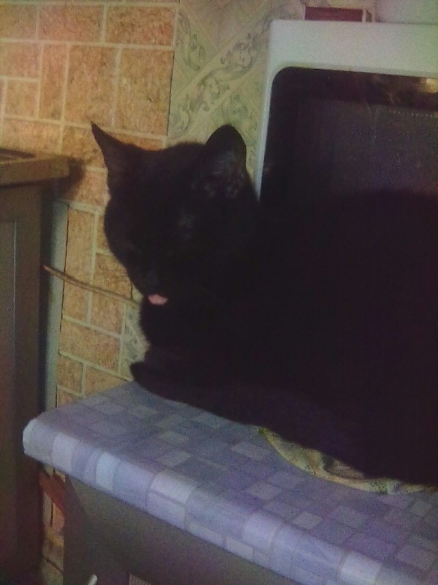 Немного милоты