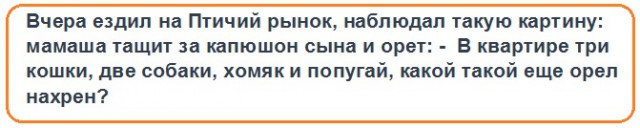 Анекдоты, соц-сети и картинки с надписями