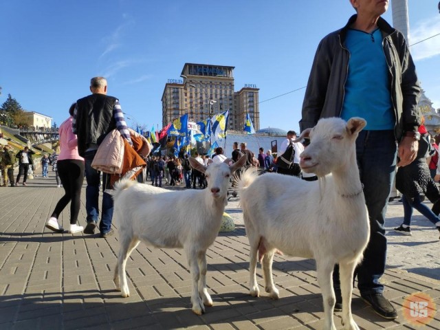 В Украине собираются построить космодром
