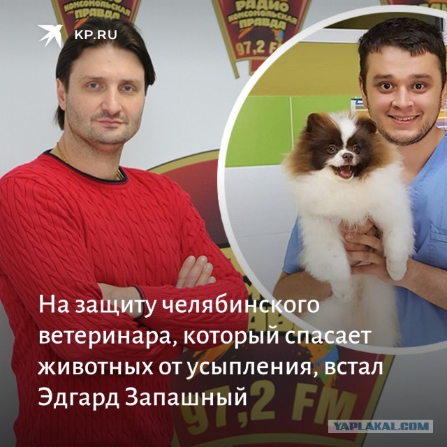 «Усыпите, лечить дорого»: ветврач из Челябинска пристраивает питомцев, которых хозяева привели на усыпление