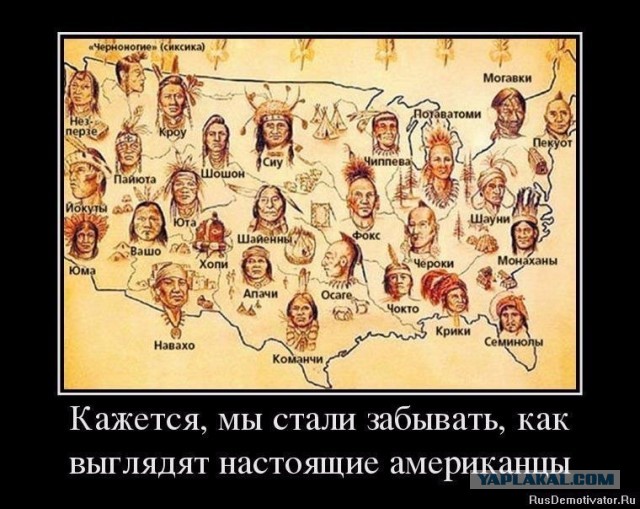 Жирные американцы и их улыбки, а также Черный расизм в штатах и Эту страну погубит коррупция