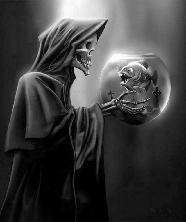 Crazy Art