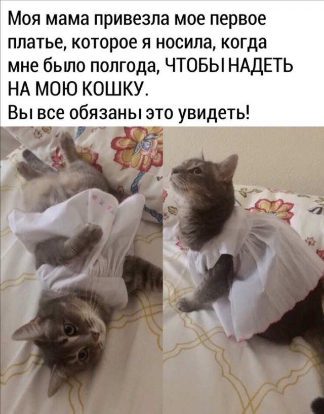 Маршрут перестроен