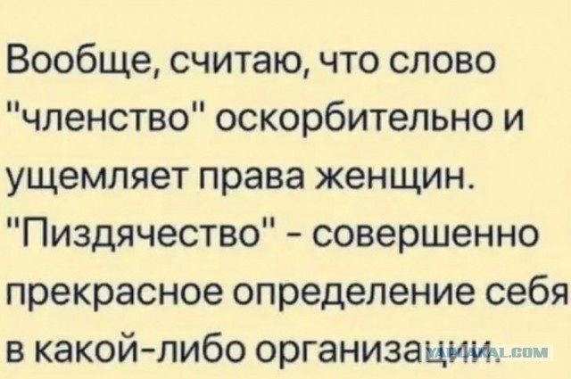 Кучка картинок №4
