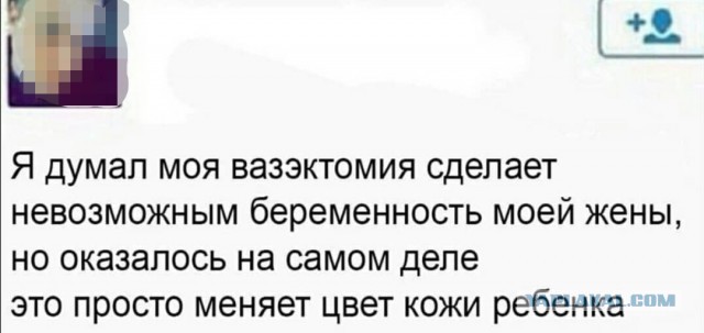 Чепухень на каждый день