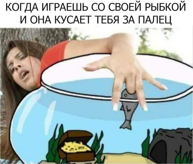 Юмор в картинках 11.12.20