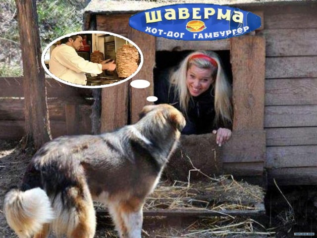 Фотожаба: Собака с Девушкой