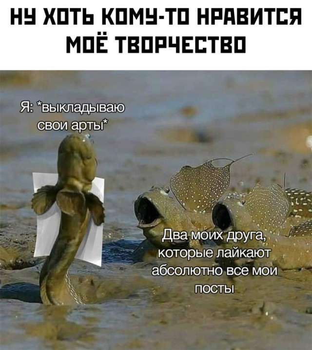 Весёлый полтишок 12.03