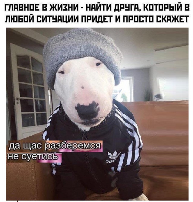 Картинки с надписями и всякие жизненные фразы 17.03.21
