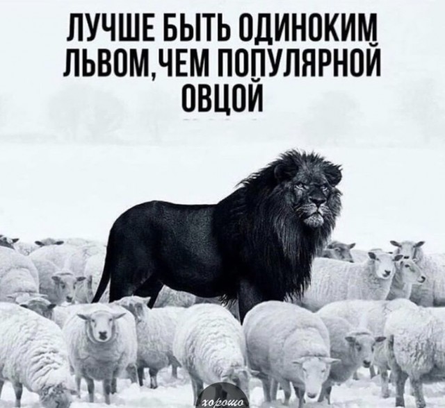 Картинки и мемы для настроения 15.07.2021