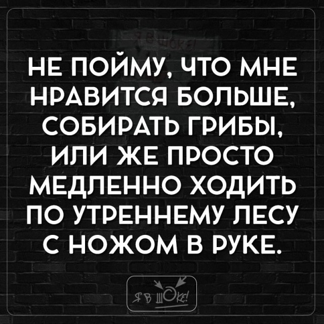 Так себе картинки 11.08.21