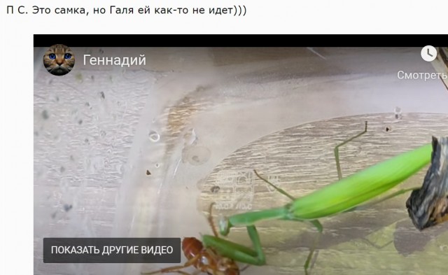 Это Геннадий