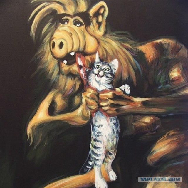 Сильнее кошки зверя нет