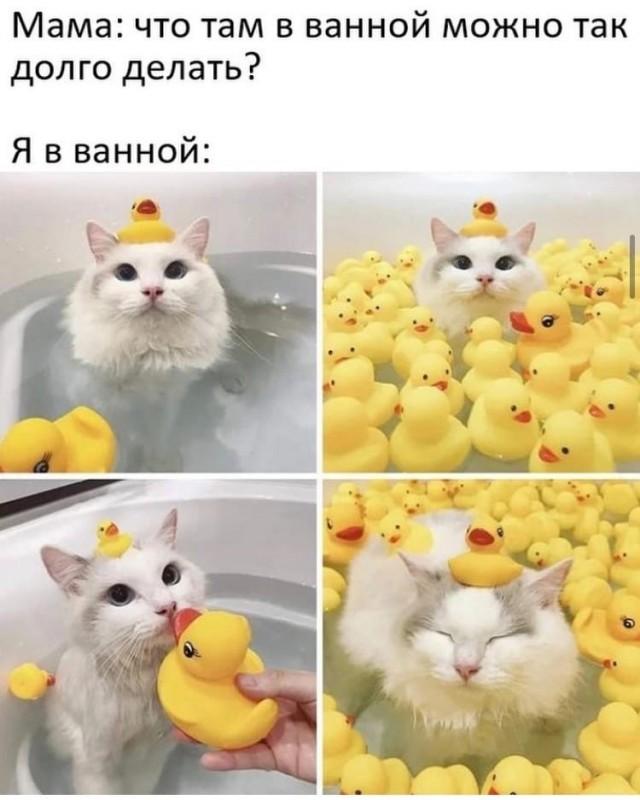 Так себе картинки 09.11.21