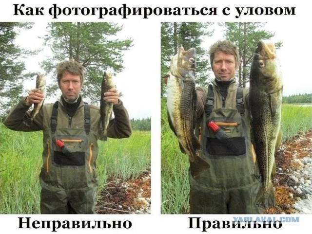 Женщина купила котенка, но он вырос почти до размера волка и рычит по ночам