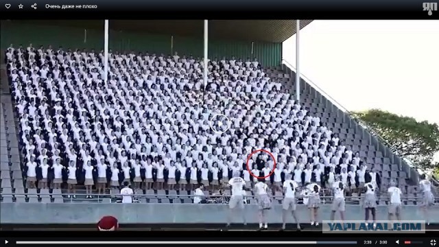 Очень даже неплохо