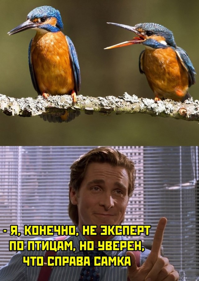 Баянисто-небаянистый юмор 7.02.22