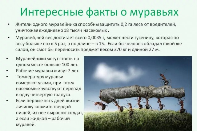 70 удивительных фактов