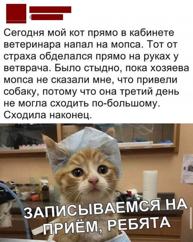 Так себе картинки 03.05.22