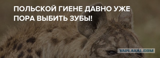Премьер Польши собрался искоренить "Русский мир"