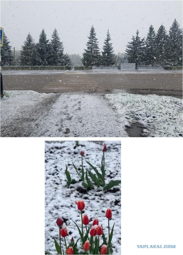 Аномальная жара в Европе