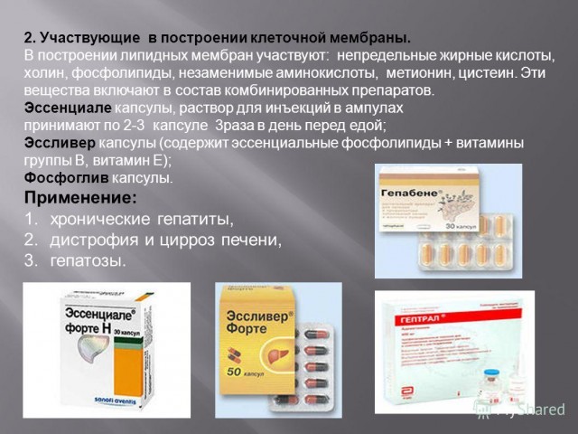 Липолитики! Будьте осторожны