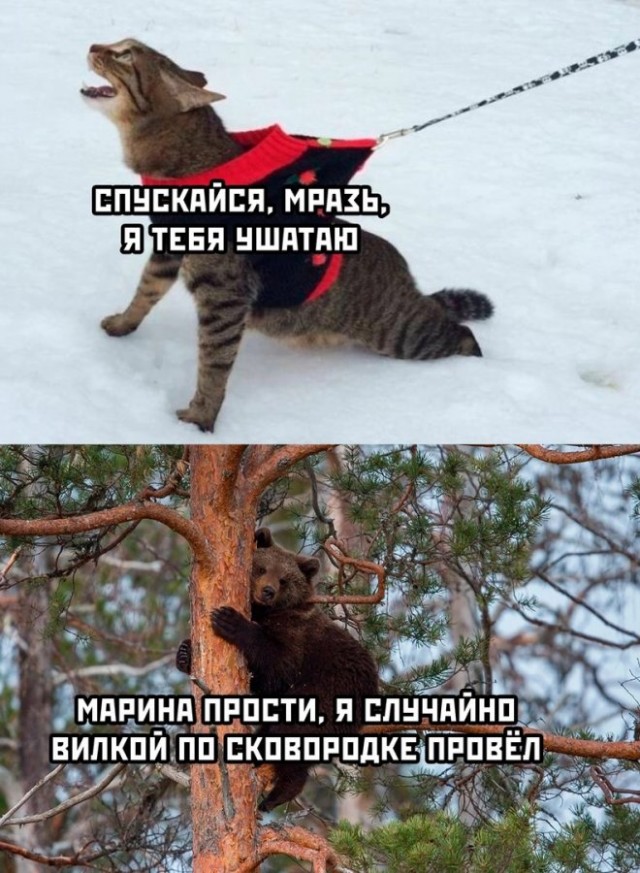 Народная меДИЧина 7040
