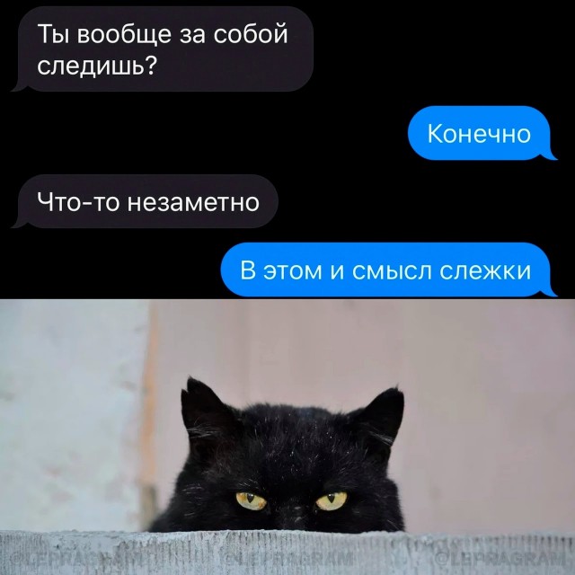 Немного картинок для настроения 07.03.2023