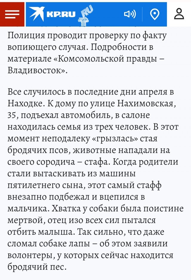 В Приморье бездомная собака напала и изуродовала ребенка, а зоозащитники написали заявление на отца, который спас сына