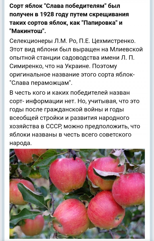 «Сидит бабушка, делать нечего и начинает придумывать»
