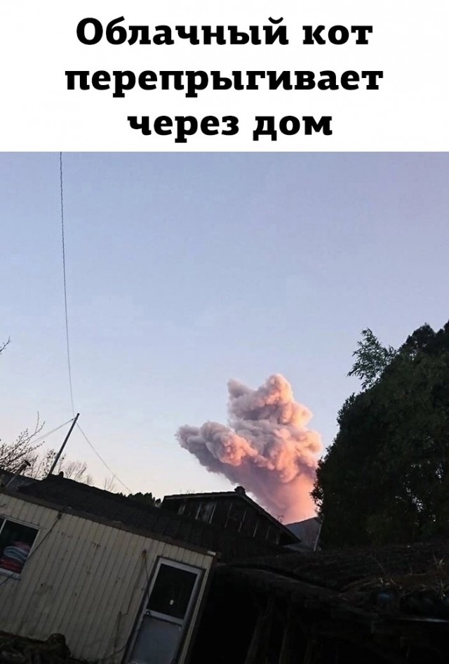Так себе картинки 18.05.23