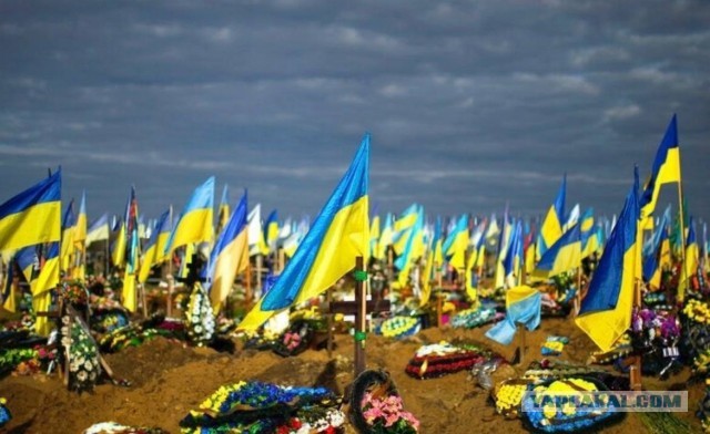 Украина просит у Германии новые танки